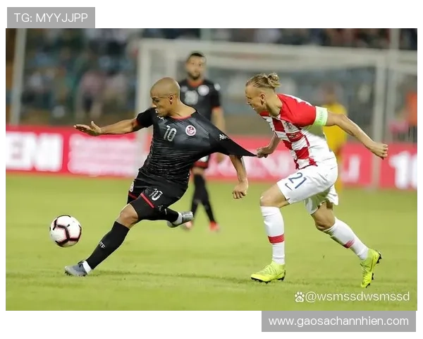 世界杯日本对突尼斯比赛场地实地探访：场馆布局、观众席及交通便利性分析